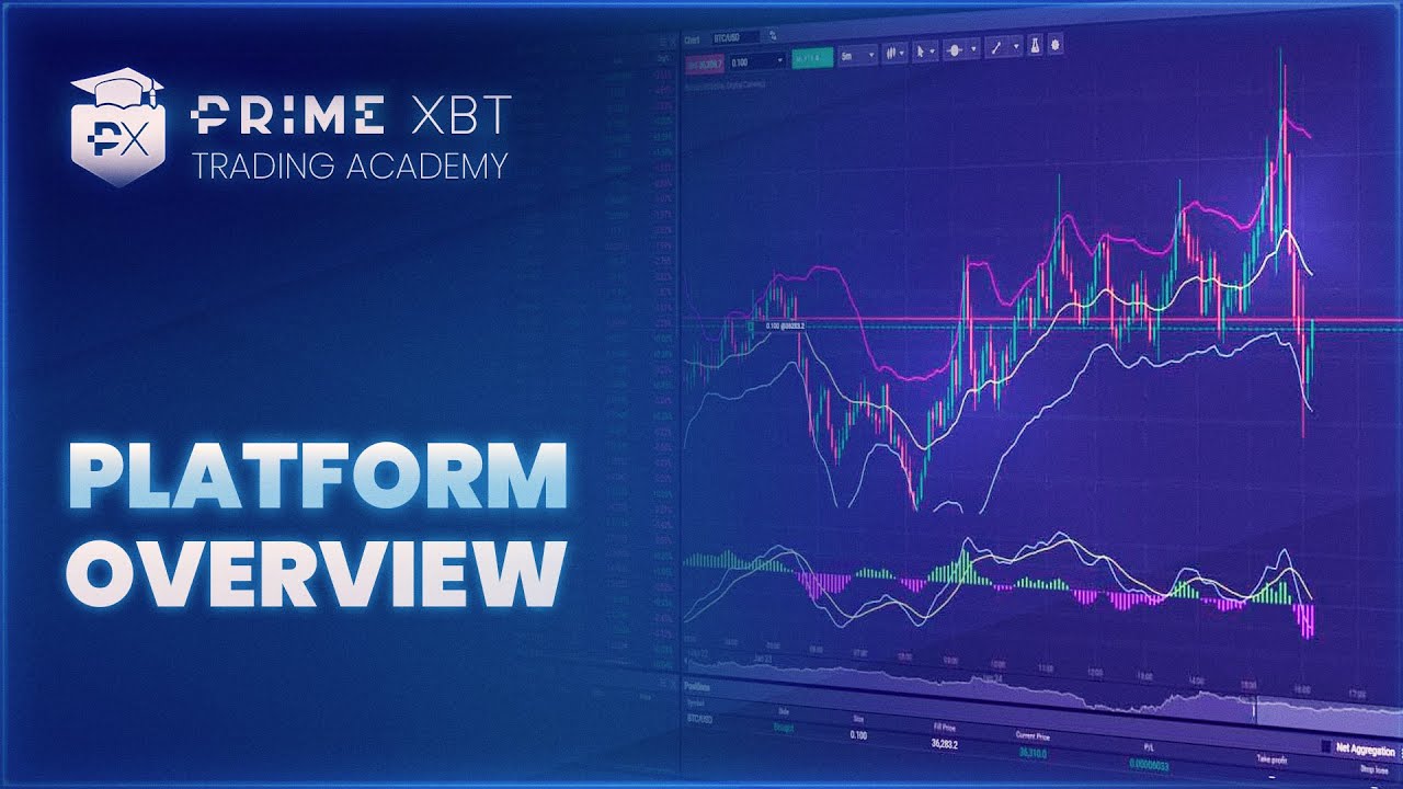 Phantom Market Cap Tutorial 1: Platform Overview